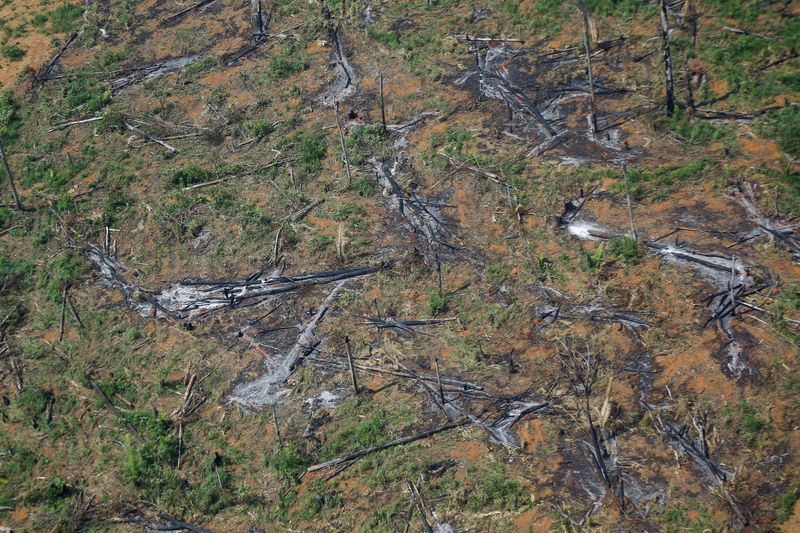 &copy; Reuters. Vista aérea de área desmatada da floresta amazônica no Estado de Rondônia
28/09/2021
REUTERS/Adriano Machado