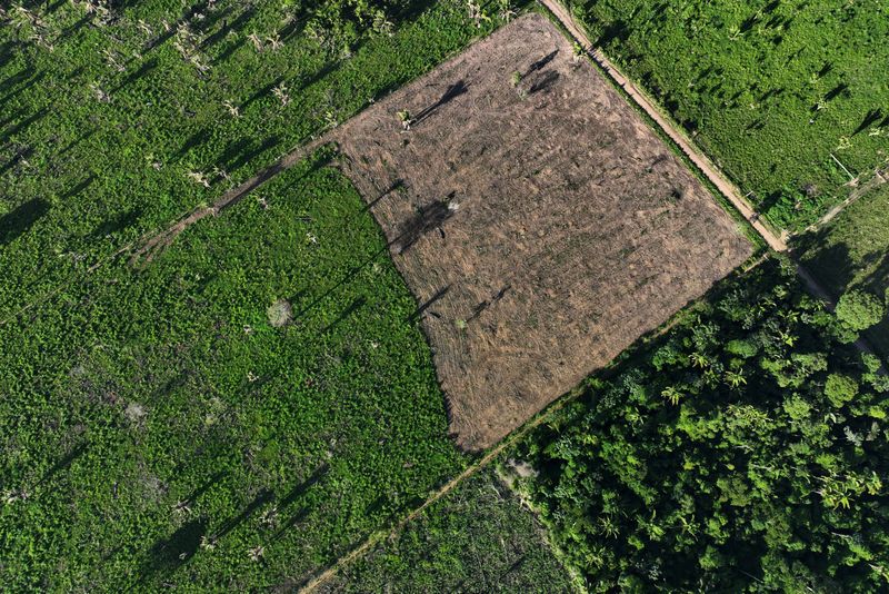 &copy; Reuters. FILE PHOTO: An aerial view shows a deforested area during an operation to combat deforestation at the Cachoeira Seca indigenous reserve, in Uruara, Para State, Brazil January 19, 2023. REUTERS/Ueslei Marcelino