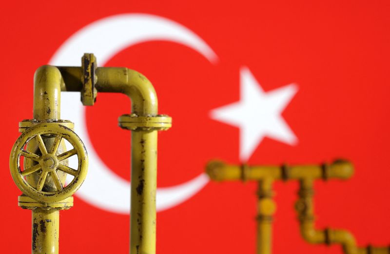 &copy; Reuters. نموذج لخط أنابيب غاز طبيعي وعلم تركيا في صورة توضيحية التقطت يوم 18 يوليو تموز 2022. تصوير: دادو روفيتش – رويترز.