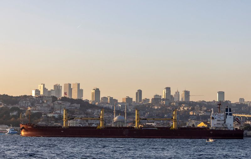 &copy; Reuters. FOTO DE ARCHIVO. Zante, un carguero con grano ucraniano, transita por el Bósforo, en Estambul, Turquía