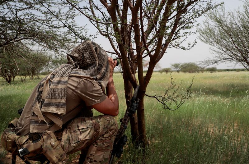 Au moins 10 soldats tués dans une embuscade au Niger