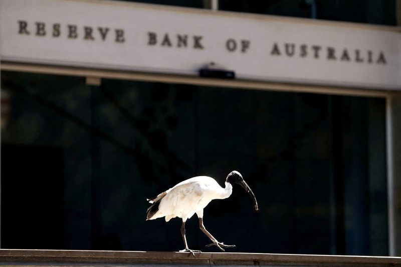 &copy; Reuters. FILE PHOTO: An ibis perches next to the Reserve Bank of Australia headquarters in central Sydney, Australia February 6, 2018. REUTERS/Daniel Munoz//File Photo