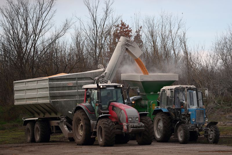 &copy; Reuters. شحنة ذرة يتم تحميلها على متن جرار في قرية بإقليم كييف في التاسع من نوفمبر تشرين الثاني 2022. تصوير: مراد سيزار - رويترز