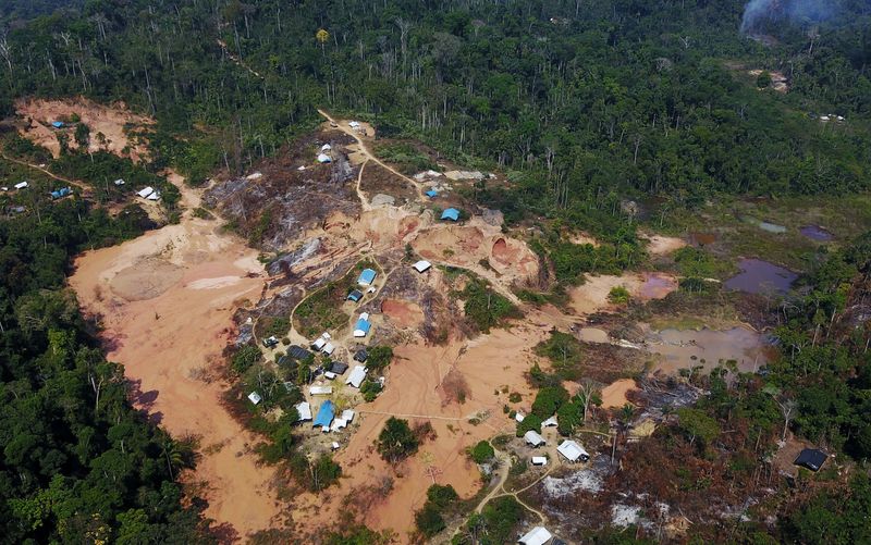 &copy; Reuters. Garimpo ilegal em área desmatada da floresa amazônica no Pará
06/08/2017
REUTERS/Nacho Doce