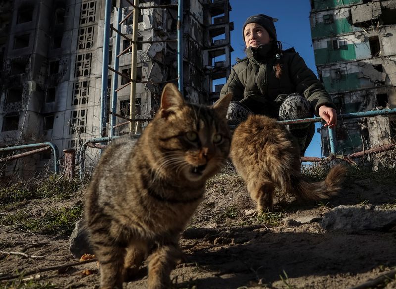 &copy; Reuters. Veronika Krasevych, an 11-year-old Ukrainian girl feeds feral cats near her building destroyed by Russian military strike in the town of Borodianka heavily damaged during Russia's invasion of Ukraine, outside of Kyiv, Ukraine February 15, 2023. After her 