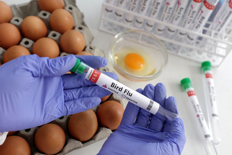 &copy; Reuters. صورة توضيحية لشخص يحمل أنبوب اختبار مكتوب عليه إنفلونزا الطيور إلى جانب طبق بيض التقطت يوم 14 يناير كانون الثاني 2023. تصوير: دادو روفيتش - رويت