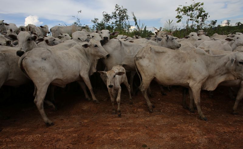 Brasil suspenderá exportaciones de carne vacuna a China tras caso de enfermedad de vacas locas