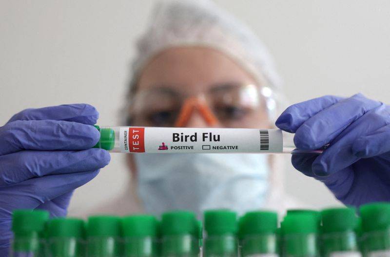 &copy; Reuters. FILE PHOTO: A person holds a test tube labelled "Bird Flu", in this picture illustration, January 14, 2023. REUTERS/Dado Ruvic/Illustration/File Photo