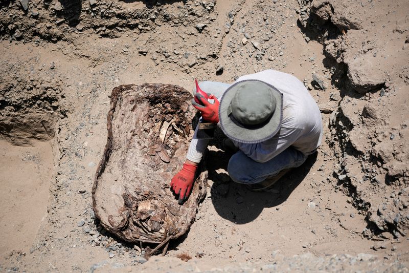 &copy; Reuters. Un arqueólogo de la Universidad de San Marcos trabaja en el sitio de un entierro perteneciente a la cultura precolombina Chantay, que fue encontrado en un cementerio en la montaña Macaton en el valle norte-central de Huaral, en Huaral, Perú 24 de febre