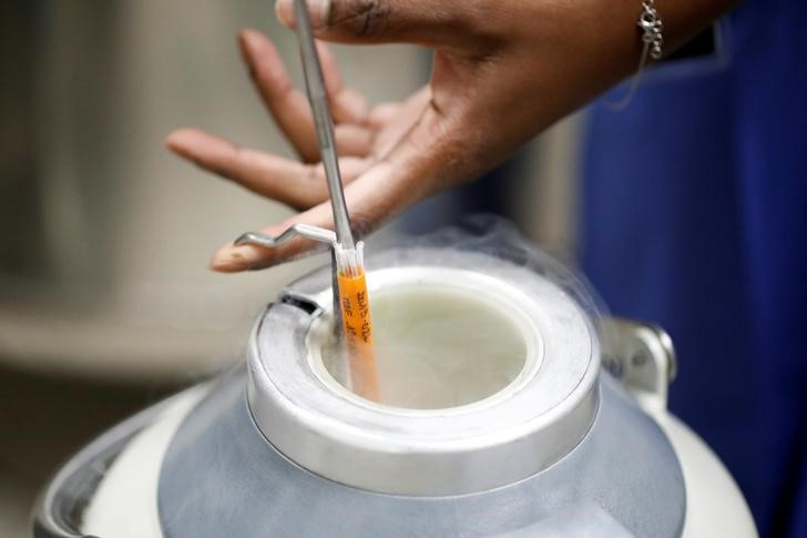 © Reuters. Illustrative: A medical technician prepares embryo and sperm samples for freezing in Paris, France, September 19, 2019. REUTERS/Benoit Tessier