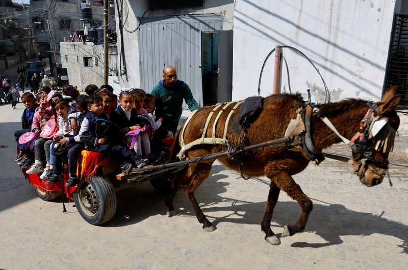 &copy; Reuters. رجل فلسطيني يدعي لؤي أبو سحلول يوفر لبعض الطلاب رحلة بواسطة عربة بحمار  إلى المدرسة في خان يونس جنوب قطاع غزة يوم 27 فبراير شباط 2023. تصوير: إبر