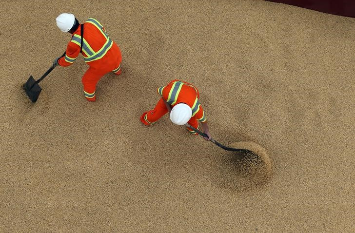 &copy; Reuters. Employees working at cargo ship Kypros Land which is loading soybeans to China at Tiplam terminal in Santos, Brazil, Merch 13, 2017.  Picture taken March 13, 2017.  REUTERS/Paulo Whitaker