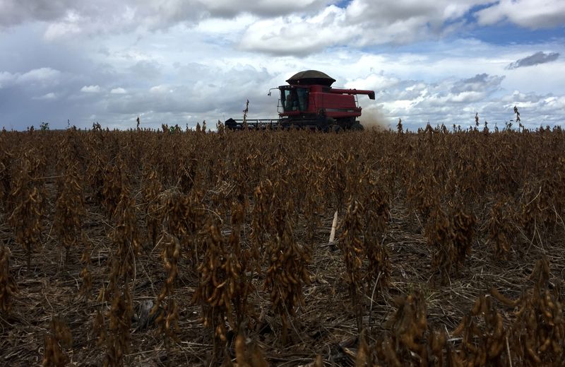 Soja EEUU sube por rebote técnico; maíz y trigo apoyados por dudas sobre acuerdo comercial