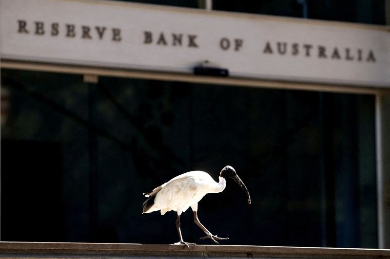 &copy; Reuters. FILE PHOTO: An ibis perches next to the Reserve Bank of Australia headquarters in central Sydney, Australia February 6, 2018. REUTERS/Daniel Munoz//File Photo/File Photo