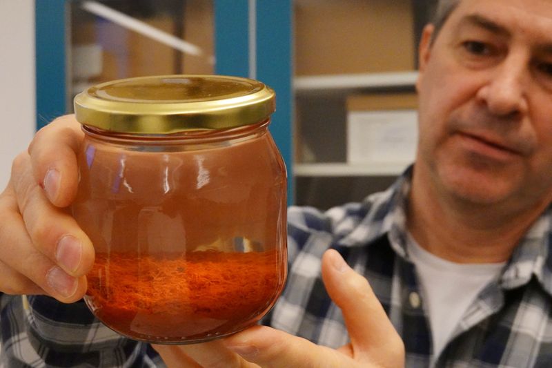 &copy; Reuters. Researcher Brendan Foley holds up a jar containing saffron preserved in water, part of a cache of unusually well preserved spices and foodstuffs found on the wreck of the Gribshunden, in his laboratory in Lund University, Denmark, March 2, 2023. REUTERS/T