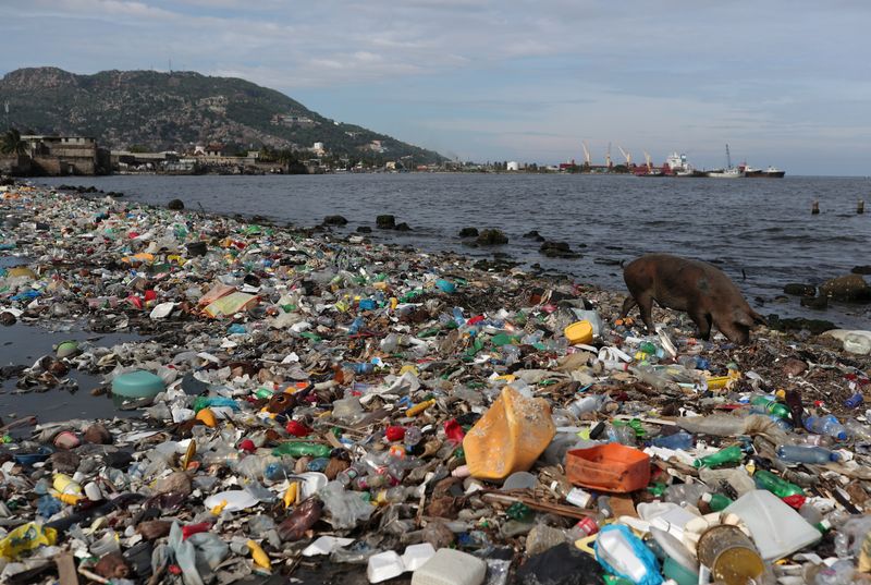 &copy; Reuters. نفايات بلاستيكية على أحد شواطئ كاب هايتيان في هايتي في صورة من أرشيف رويترز.