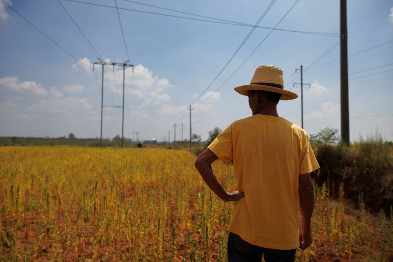&copy; Reuters. Agricultor em campo em Xinyao, na província chinesa de Jiangxi. 25 de agosto de 2022.  REUTERS/Thomas Peter