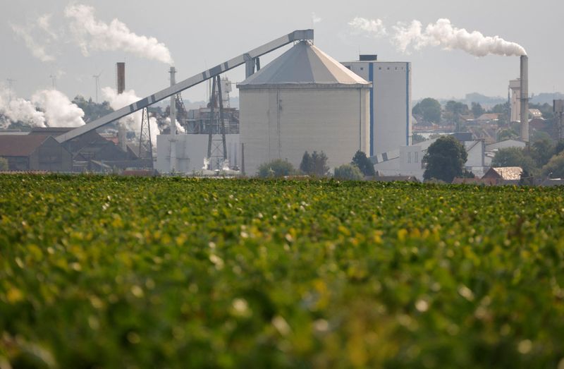 &copy; Reuters. L'usine sucrière de Tereos est visible derrière un champ de betteraves à Escaudoeuvres, France, 23 septembre 2022. /REUTERS/Pascal Rossignol