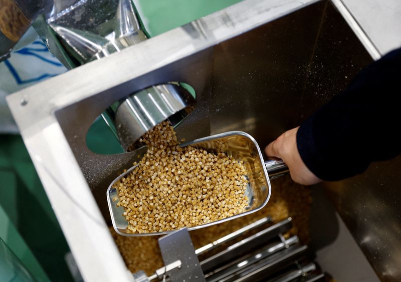 &copy; Reuters. FILE PHOTO: Takemitsu Iwazu, President of Biomass Resin Fukushima shows plastic pellets, that are being produced in a factory line, during an interview with Reuters at its factory in Namie, about 7 km from the crippled Fukushima Dai-Ichi nuclear plant, Fu