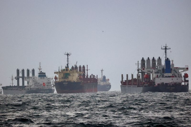 &copy; Reuters. Embarcações aguardam inspeção sob a Iniciativa de Grãos do Mar Negro em Istambul. REUTERS/Yoruk Isik