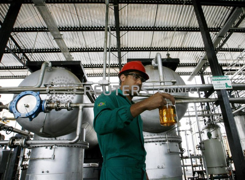 &copy; Reuters. A worker shows a sample of biodiesel made from castor beans at a biodiesel refinery in Iraquara, 310 miles (500 km) west of the Bahia state capital, Salvador March 31, 2008. Investors, including many foreigners, have flocked to Brazil's hinterland with it
