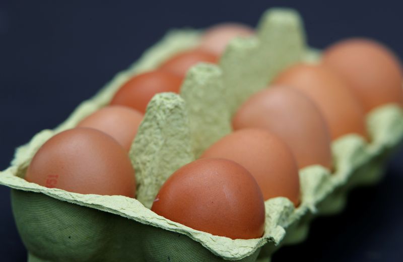 Inflasi UE mendorong harga telur naik rata-rata 30% di bulan Januari