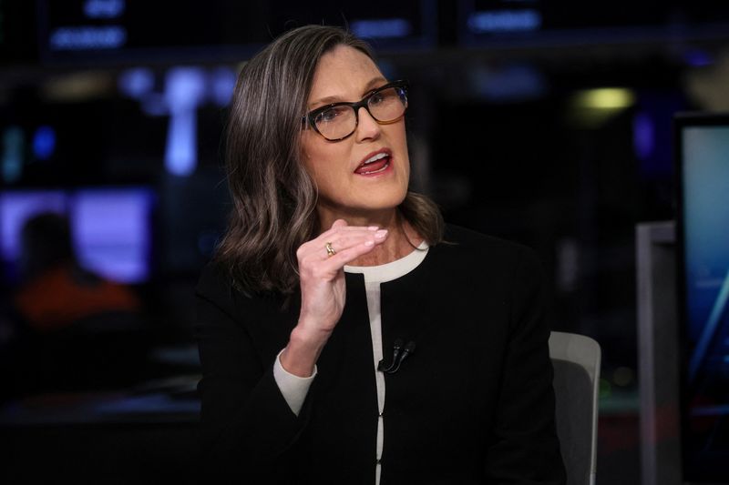 &copy; Reuters. FILE PHOTO: Cathie Wood, CEO of Ark Invest, speaks during an interview on CNBC on the floor of the New York Stock Exchange (NYSE) in New York City, U.S., February 27, 2023.  REUTERS/Brendan McDermid