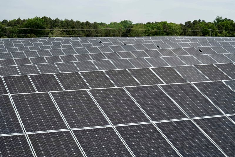 &copy; Reuters. Complexo de geração de energia solar. REUTERS/Dane Rhys