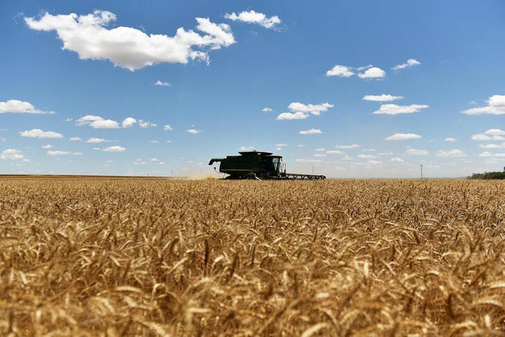 &copy; Reuters. FOTO DE ARCHIVO. Una cosechadora recolecta trigo de invierno en Corn, Oklahoma, EEUU, 12 de junio de 2019. REUTERS/Nick Oxford