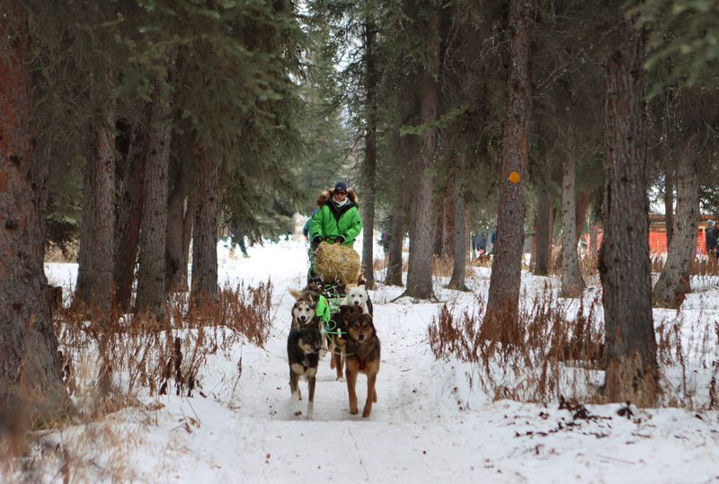 Ryan Redington arrives in Nome, Alaska to win Iditarod sled dog race