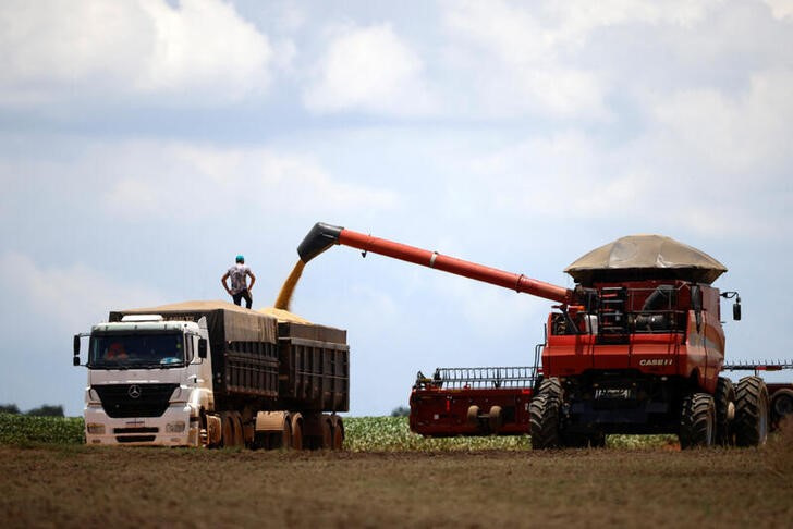 &copy; Reuters. FOTO DE ARCHIVO. La soja se carga en un camión después de ser cosechada en una granja en Luziania, estado de Goiás, Brasil, 9 de febrero de 2023. REUTERS/Adriano Machado