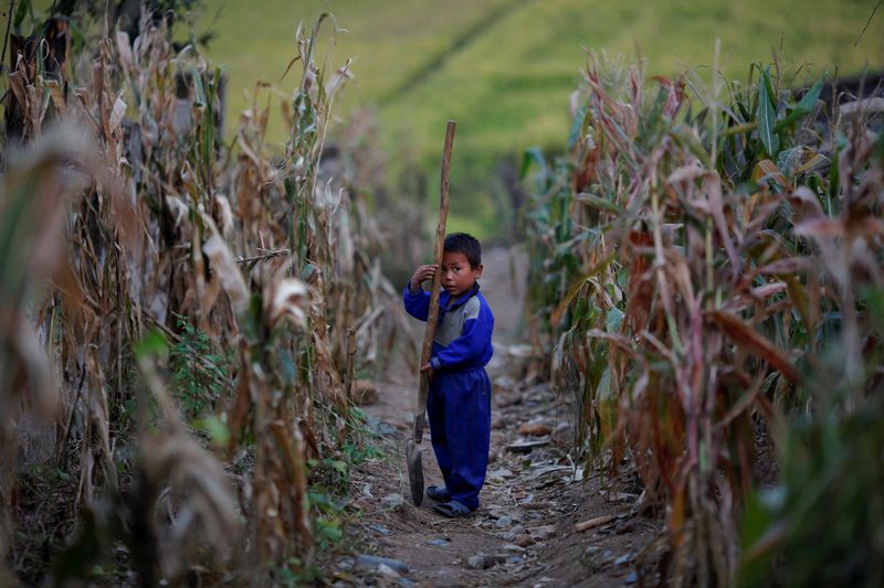 &copy; Reuters. 　３月１６日　北朝鮮は農業安定化問題を議論する閣僚級会議を１５日に開催したと、国営の朝鮮中央通信（ＫＣＮＡ）が１６日報じた。写真は２０１１年９月、黄海南道で撮影（２０２３