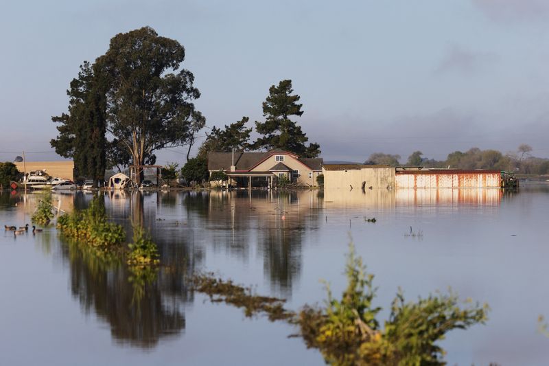 © Reuters. A farm is surrounded by water as floodwaters from the Pajaro River inundate residents after days of heavy rain in Watsonville, California, U.S., March 16, 2023.  REUTERS/David Swanson