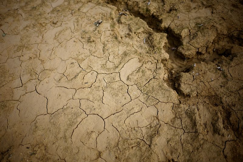 &copy; Reuters. A view shows cracked and dry earth of the partially dry Lake Montbel at the foot of the Pyrenees Mountains as France faces records winter dry spell raising fears of another summer of droughts and water restrictions, March 13, 2023.  REUTERS/Sarah Meyssonn