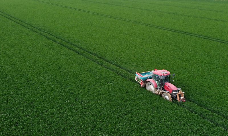 &copy; Reuters. FOTO DE ARCHIVO. Un agricultor esparce fertilizante nitrogenado en su campo de trigo en Blecourt, Francia