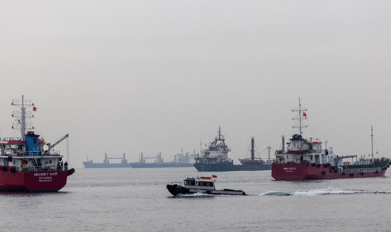 &copy; Reuters. Navios de grãos em Istabul
31/10/2022
REUTERS/Umit Bektas