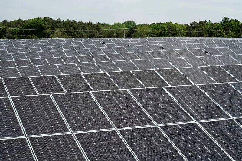 &copy; Reuters. Placas de energia solar
26/05/2021
REUTERS/Dane Rhys