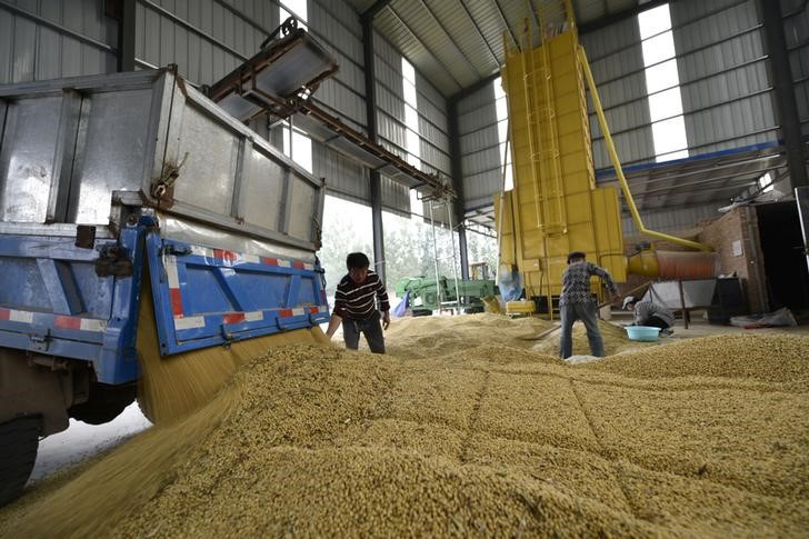 &copy; Reuters. Descarregamento de soja em Shandong, China 
21/03/2023
REUTERS/Stringer