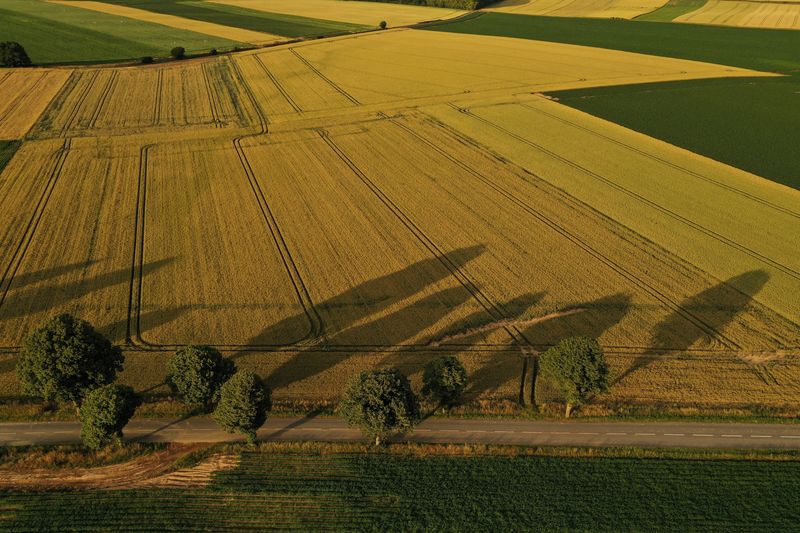 &copy; Reuters. Fields of crops are seen during sunset in a field in Vaulx-Vraucourt, France, June 23, 2022. Picture taken with a drone. REUTERS/Pascal Rossignol