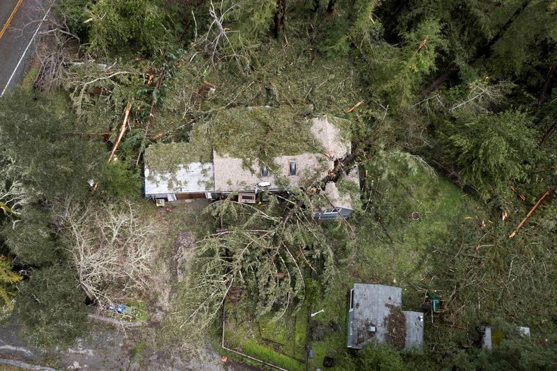 © Reuters. An aerial view of fallen trees enveloped a home after a severe windstorm in Boulder Creek, California, U.S., March 22, 2023. REUTERS/Matt Mills McKnight