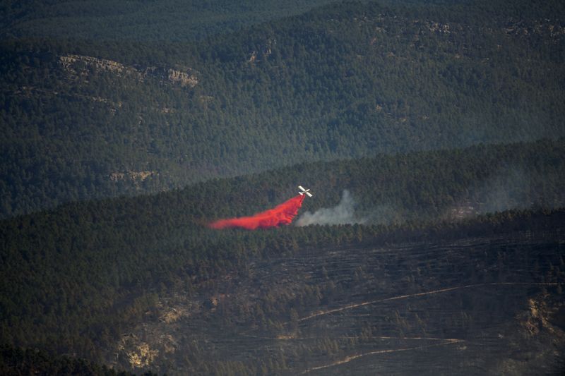 Spain tells 'fire tourists' to stay away from forest blaze