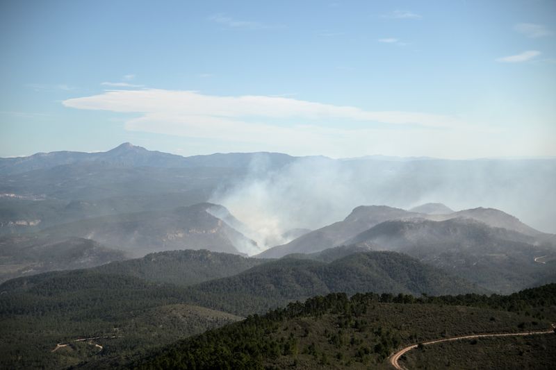 &copy; Reuters.  منظر عام لدخان يتصاعد من الغابات في بينا دي مونتالجراو بعد اندلاع حريق هائل في شرق إسبانيا يوم الأحد. تصوير: لورينا سوبينا - رويترز. 
