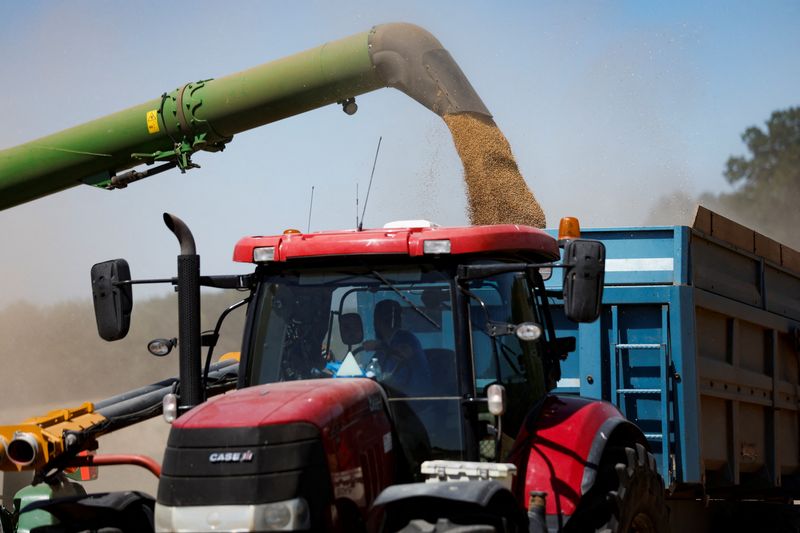 © Reuters. FOTO DE ARCHIVO: Una segadora descarga el grano de trigo cosechado en un remolque en Survilliers, Francia. 15 de julio, 2022. REUTERS/Benoit Tessier/Archivo