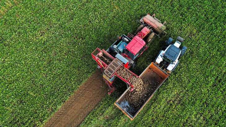 &copy; Reuters. FOTO DE ARCHIVO. Un agricultor cosecha un campo de remolacha azucarera en Abancourt, Francia, el 30 de septiembre de 2022. REUTERS/Pascal Rossignol