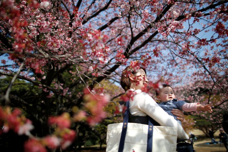 &copy; Reuters. A seven-month-old baby and her mother look at early flowering Kanzakura cherry blossoms in full bloom at the Shinjuku Gyoen National Garden in Tokyo, Japan March 14, 2018.  REUTERS/Issei Kato