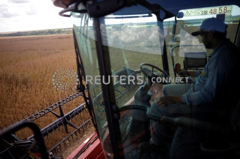 &copy; Reuters. Colheita de soja em fazenda de Luziânia, Goiás
03/04/2023
REUTERS/Adriano Machado
