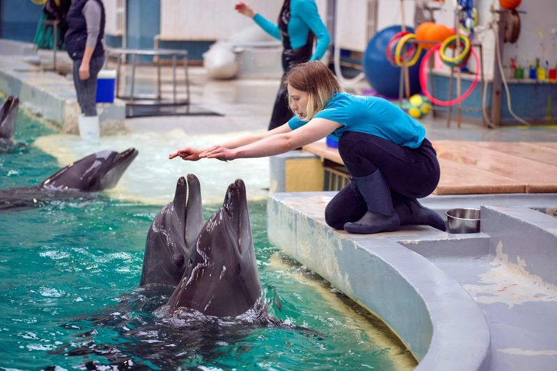&copy; Reuters. La entrenadora de delfines ucraniana Sonia Chezghanova interactúa con dos delfines en el Delfinario de Constanza, donde encontraron refugio cuatro delfines y tres leones marinos procedentes de un acuario destruido en Ucrania, en Constanza, Rumania. 4 de 