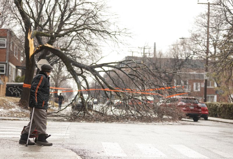 © Reuters. FILE PHOTO: A man walks near fallen branches, a day after freezing rain and strong winds cut power to more than a million people in Canada's two most populated provinces, in Montreal, Quebec, Canada April 6, 2023.  REUTERS/Christinne Muschi