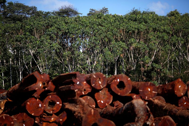 &copy; Reuters. ブラジル政府は、アマゾン協力条約機構（ＡＣＴＯ）に加盟する８カ国との地域首脳会議を８月初めに開催する考えを示した。写真は２０２１年９月、Jamari National Forest Parkで撮影（２０２３