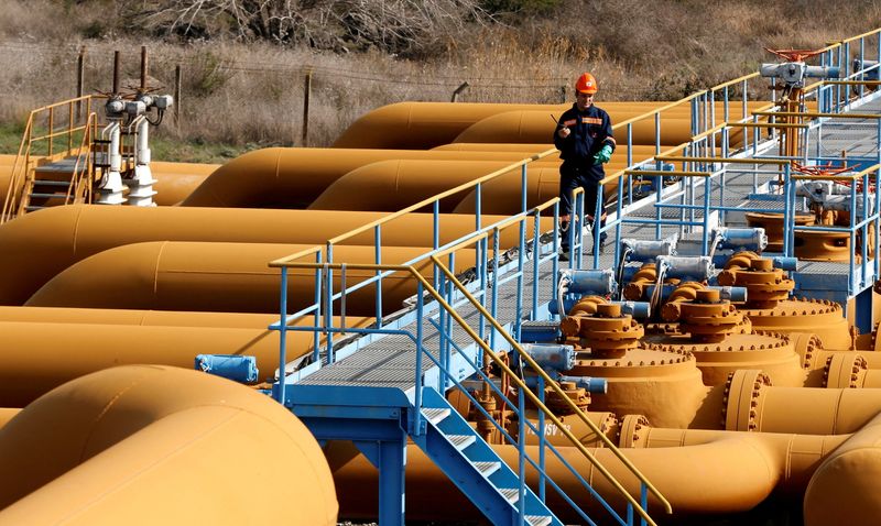 &copy; Reuters. FILE PHOTO: A worker performs checks at Turkey's Mediterranean port of Ceyhan, which is run by state-owned Petroleum Pipeline Corporation (BOTAS), some 70 km (43.5 miles) from Adana February 19, 2014.  REUTERS/Umit Bektas/File Photo